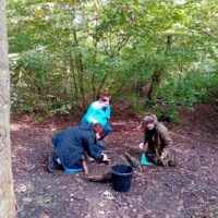 L3 Certificate in Forest School Leadership Bedford June 26