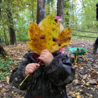 Elmsbrook under 5's Saturday 4th Oct ' Autumn'