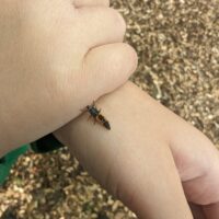 Elmsbrook pop up Sat 13th June (under 5)