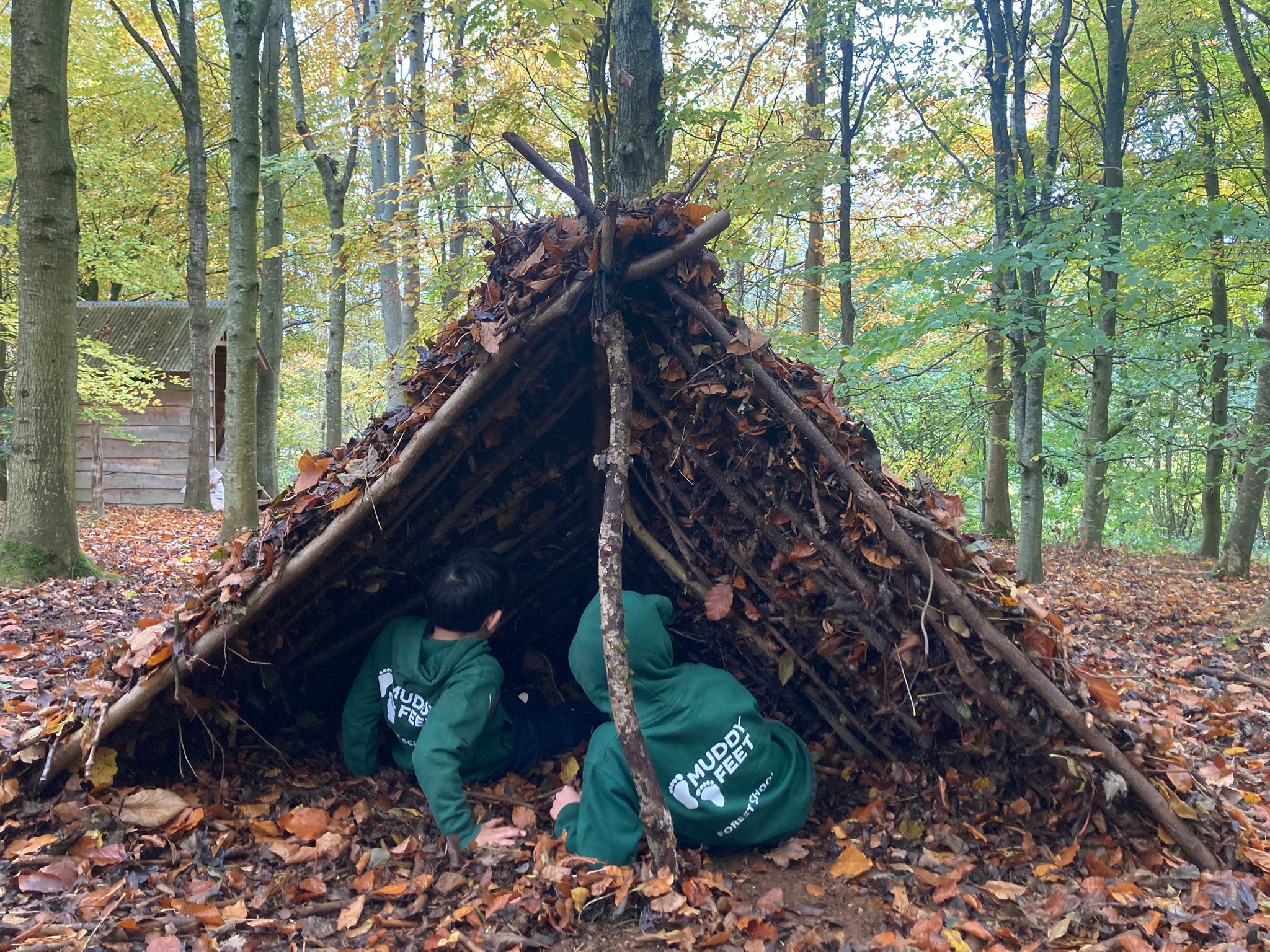 shelter2