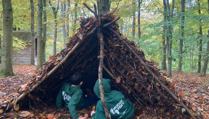 shelter2